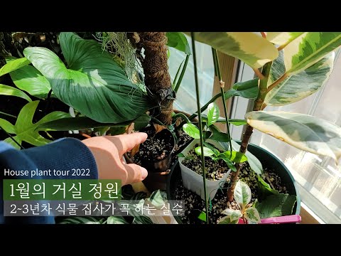, title : '거실정원 1월 근황과 식물 키우기 2~3년차에 많이 하는 실수! house plant tour 2022'