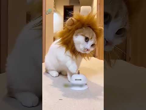 لم يحبها أحد لأنها سوداء ..شاهد ماذا فعلت! 😨#shorts