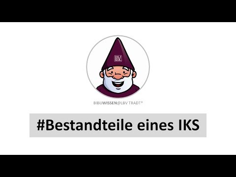 Bilanzbuchhalter Bestandteile eines internen Kontrollsystems IKS BiBuWissen LBV Tradt [BB K03 T01]