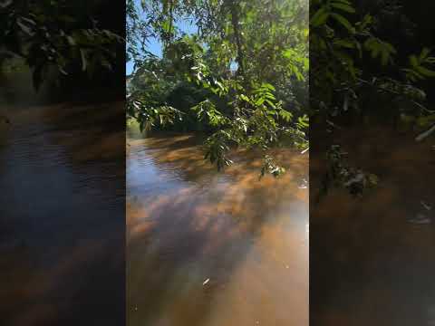 Belleza el arroyo en la ciudad de itacurubi de la cordillera #paraguay #turismo #viajes #fyp