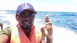 Why This Remote Island Is A Must-Visit (Comoros)