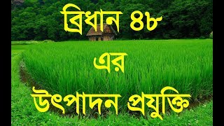 ব্রিধান-৪৮