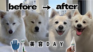 【美容】美白系YouTuberの美容ルーティン