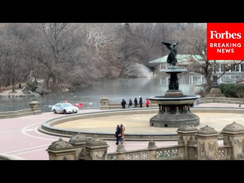 Winter Storm Izzy: Lake In NYC's Central Park Freezes Over