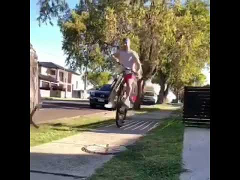 Lawless entertainment