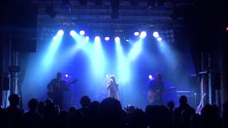 VENUS IN THE DUST- Jesus for the Jugular- The Veils cover