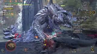 モンハンワイルズアプデ攻略