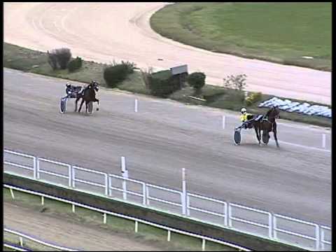 Trotto 05/02/2015 - Prova di riqualifica