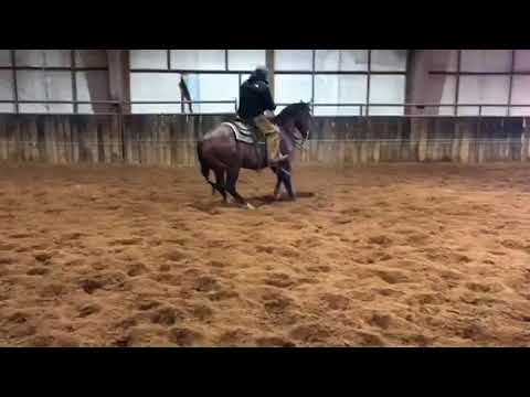 Metallic Cat x Special Nu Baby