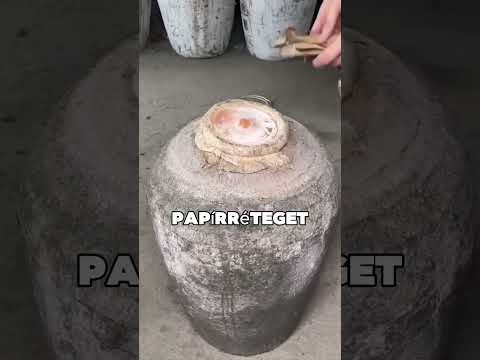 Ez a férfi kibontott egy 100 éves borosüveget 😯❤️