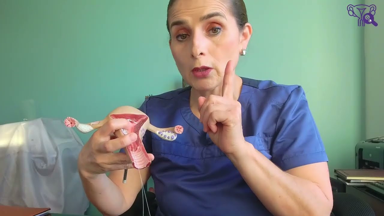 María José Chiriboga Zambrano-20