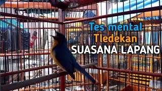 Download lagu Mengetahui MENTAL TLEDEKAN #tledekangacorngerol mp3 Download lagu Mengetahui MENTAL TLEDEKAN #tledekangacorngerol mp3