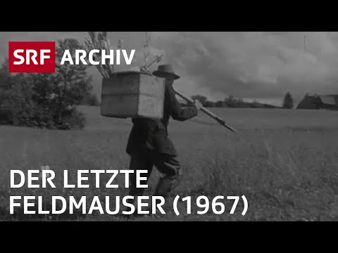 Beruf Feldmauser (1967) | Berufe die es so nicht mehr gibt | SRF Archiv