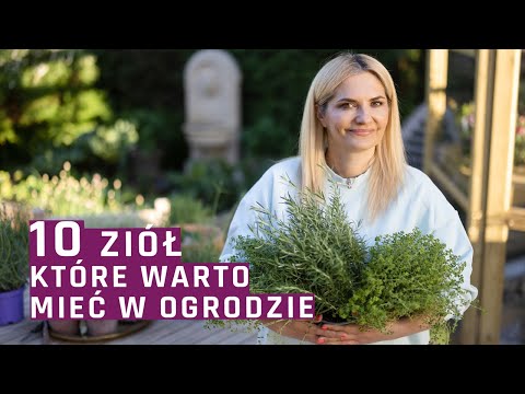 10 ziół które warto mieć w ogrodzie