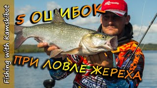 На что в это время ловить жереха