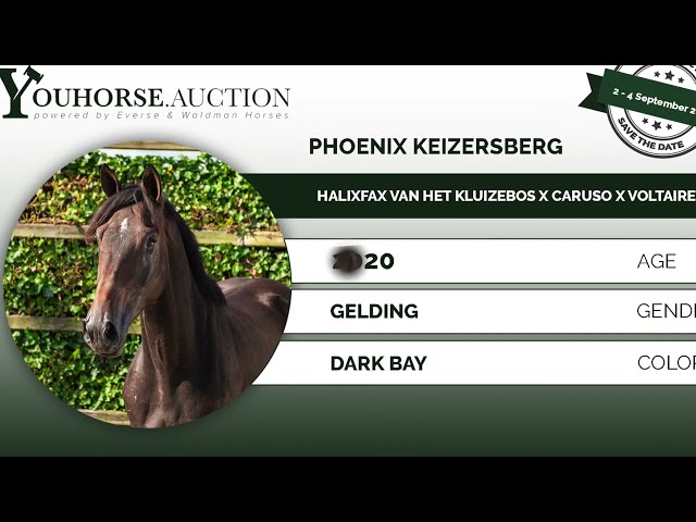Phoenix Keizersberg