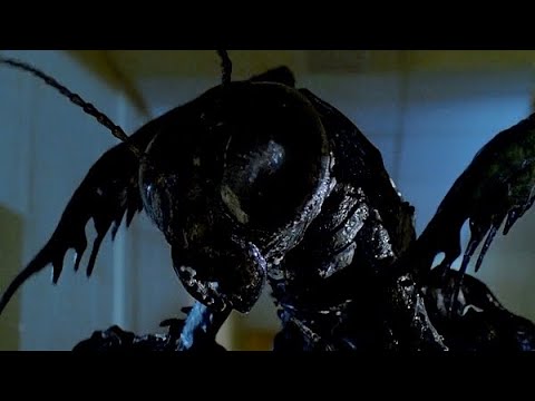 Insecto (1987) Pelicula completa en español