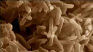 Origin of Life - Abiogenesis 1of5