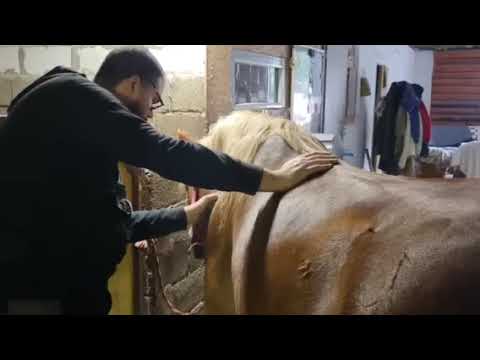 Podpor svoj odbor 2024_podnikateľ pre rozvoj vidieka