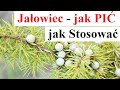 JAŁOWIEC Jak PIĆ Jak Stosować