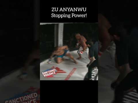 Stopping Power!                                                                     #ufc #knockout