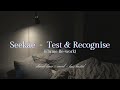 Seekae Test Recognise Flume Re Work 𝑠𝑙𝑜𝑤𝑒𝑑 𝑑𝑜𝑤𝑛 𝑟𝑒𝑣𝑒𝑟�