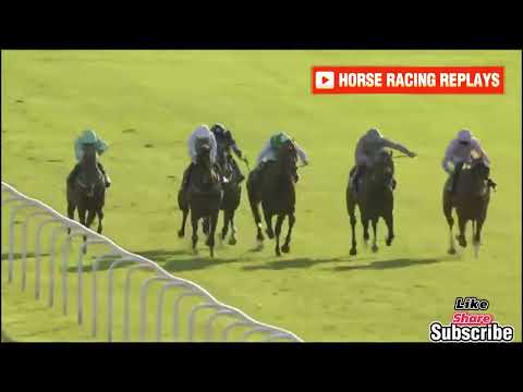 SALVUCCIO / 5 Race Windsor 17 Jun 2024