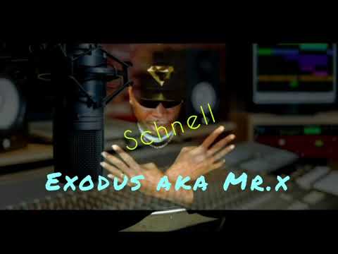exodus aka Mr.x ‐(schnell)official Lyric Video)The Origin project