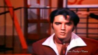 Elvis Presley - Where Could I Go But To The Lord (Gospel)