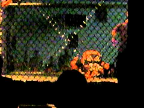 Nick Mimoso MMA fight, Round 1