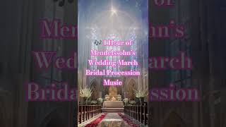 Download lagu #6 🎶 メンデルスゾーンの結婚行進曲 1時間|ブライダル・プロセッションの音楽 mp3 Download lagu #6 🎶 メンデルスゾーンの結婚行進曲 1時間|ブライダル・プロセッションの音楽 mp3