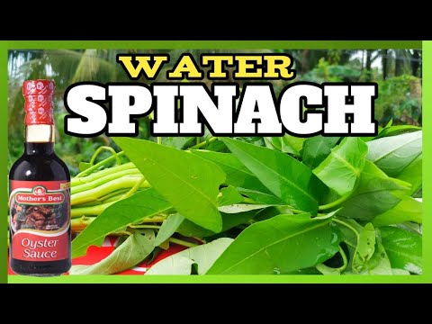 GARLIC KANGKONG WITH OYSTER SAUCE RECIPE