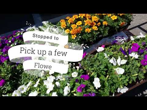 Estate Flower Bed Part II The Blooms Are In - WH3R3 W3 AR3