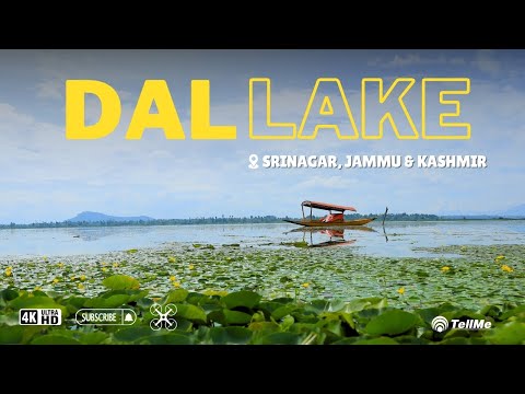 Discover the heaven on earth, Check out Dal lake in Srinagar I Jammu & Kashmir