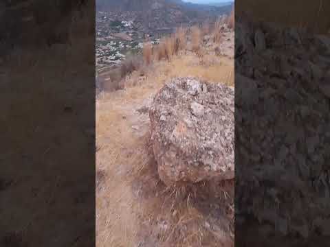 The Walls of Al Zalia