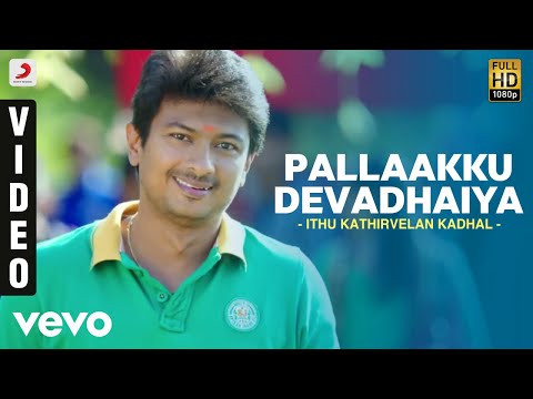 pallaakku devadhaiya song lyrics Thumbnail
