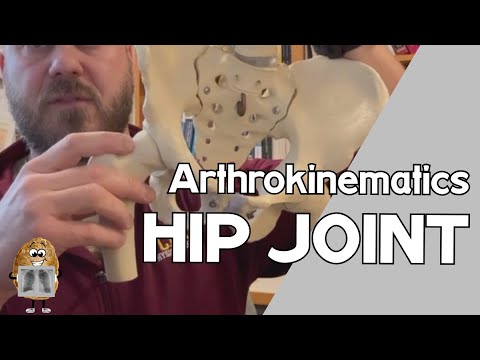Hip Joint Arthrokinematics & Osteokinematics