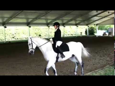 Vilart Ga05/40 5. Rang