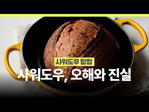 🫧사워도우는 다 건강하다? 사워도우의 오해와 진실 | 사워도우와 드라이이스트, 르방, 발효종 Sourdough Myths