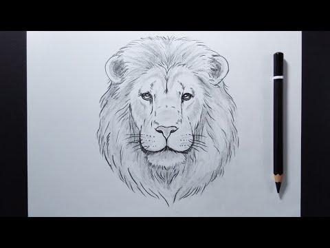How To Draw a Lion's Face Step By Step | Easy Drawing Tutorial