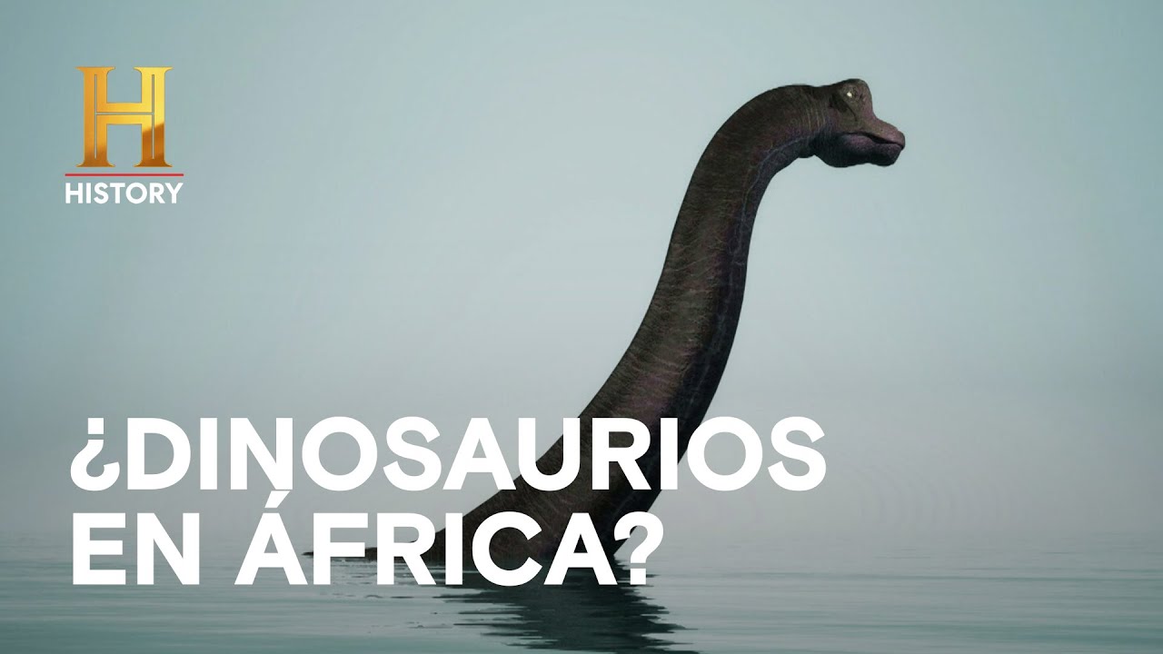 ¿Mutación, mito o realidad? - LA EVIDENCIA ESTÁ ENTRE NOSOTROS