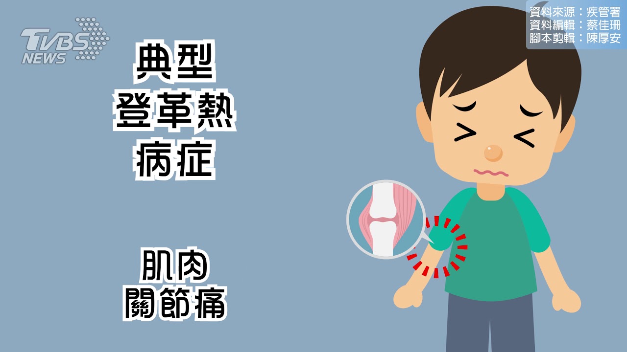 沒有特效藥!秒懂「登革熱」 這些症狀恐重症