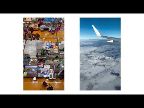 João Tamura and 2 more