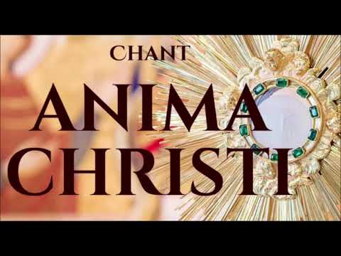 Myriam Manca   Anima Christi
