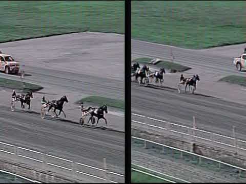 Trotto 08/09/2019 - 5ª corsa