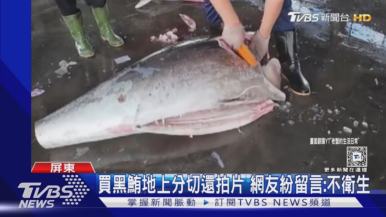 地上殺魚「東港日常」? YouTuber拍黑鮪魚分割秀遭罵翻