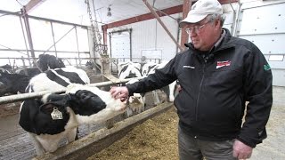 31. Biogas: How cow manure and French fries run a power plant on the farm