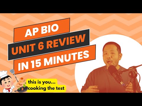 Let’s review the Unit 6 on Gene Expression & Regulation in 15 MINUTES!