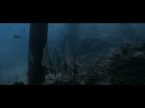 Diving French Polynesia I - Tahiti and Huahine