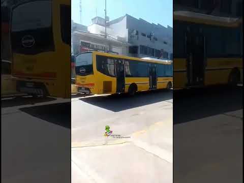 Línea 203 azul sata interno 4682 en moreno provincia de Buenos Aires #shorts